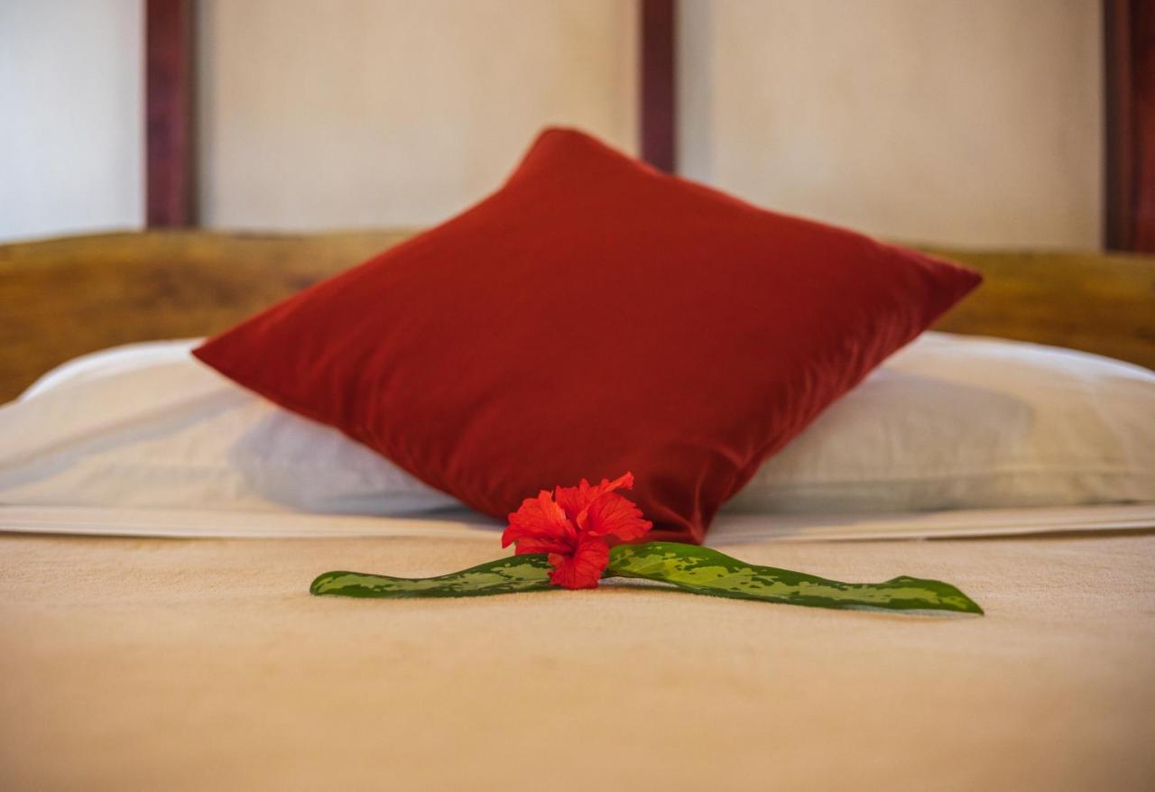 Namuwoki Lodge Puerto Viejo de Talamanca Екстер'єр фото