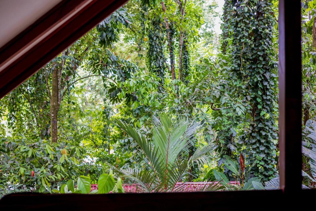 Namuwoki Lodge Puerto Viejo de Talamanca Екстер'єр фото
