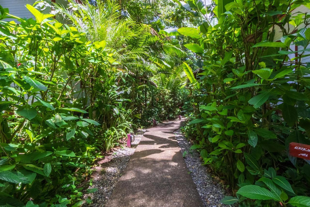 Namuwoki Lodge Puerto Viejo de Talamanca Екстер'єр фото